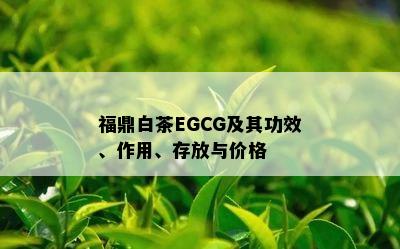 福鼎白茶EGCG及其功效、作用、存放与价格