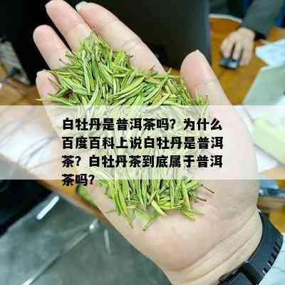 白牡丹是普洱茶吗？为什么百度百科上说白牡丹是普洱茶？白牡丹茶到底属于普洱茶吗？