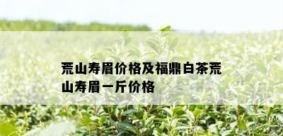 荒山寿眉价格及福鼎白茶荒山寿眉一斤价格