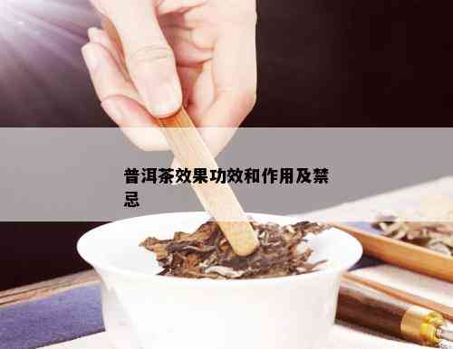 普洱茶效果功效和作用及禁忌