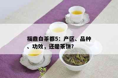 福鼎白茶都5：产区、品种、功效，还是茶饼？