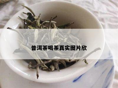 普洱茶喝茶真实图片欣