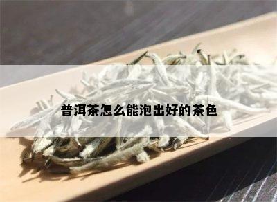 普洱茶怎么能泡出好的茶色