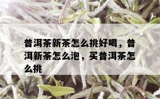 普洱茶新茶怎么挑好喝，普洱新茶怎么泡，买普洱茶怎么挑