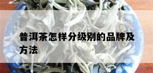 普洱茶怎样分级别的品牌及方法