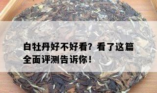 白牡丹好不好看？看了这篇全面评测告诉你！