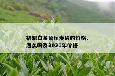 福鼎白茶紧压寿眉的价格、怎么喝及2021年价格