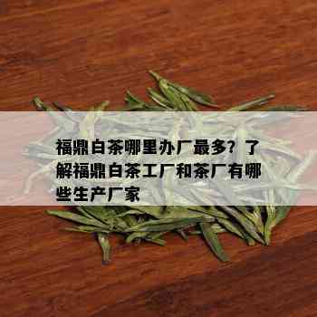 福鼎白茶哪里办厂最多？了解福鼎白茶工厂和茶厂有哪些生产厂家