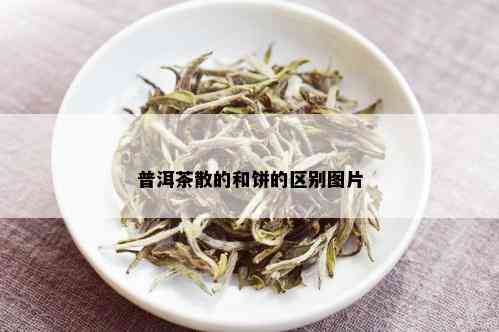 普洱茶散的和饼的区别图片