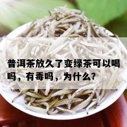 普洱茶放久了变绿茶可以喝吗，有吗，为什么？