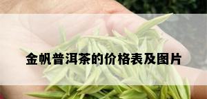 金帆普洱茶的价格表及图片