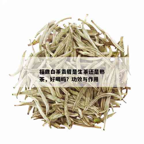 福鼎白茶贡眉是生茶还是熟茶，好喝吗？功效与作用