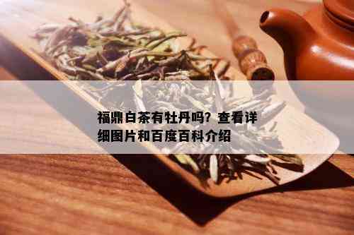 福鼎白茶有牡丹吗？查看详细图片和百度百科介绍