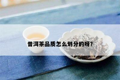 普洱茶品质怎么划分的呀？