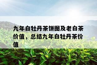 九年白牡丹茶饼图及老白茶价值，总结九年白牡丹茶价值