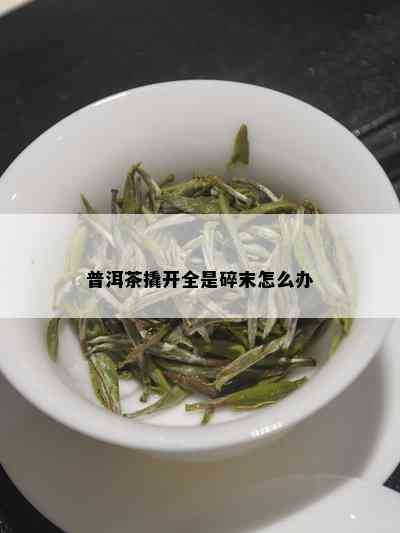 普洱茶撬开全是碎末怎么办