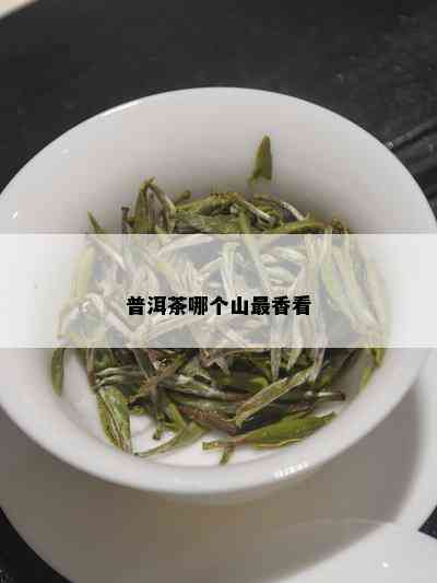 普洱茶哪个山最香看