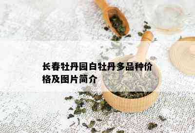 长春牡丹园白牡丹多品种价格及图片简介