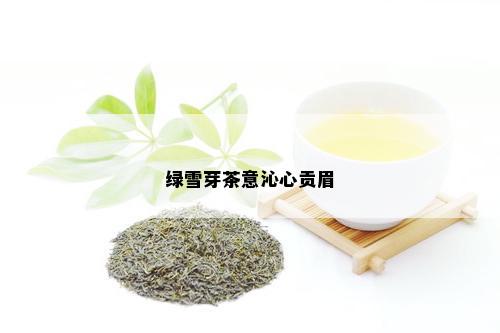 绿雪芽茶意沁心贡眉