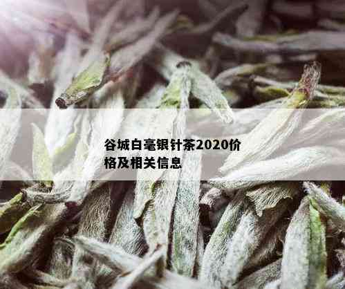 谷城白毫银针茶2020价格及相关信息