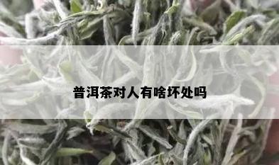 普洱茶对人有啥坏处吗