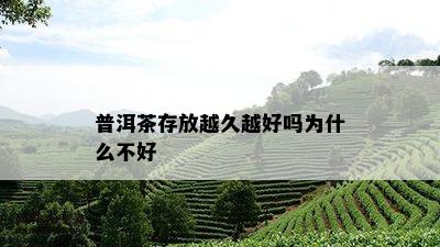 普洱茶存放越久越好吗为什么不好