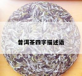 普洱茶四字描述语