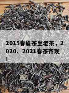 2015春眉茶至老茶，2020、2021春茶齐现！