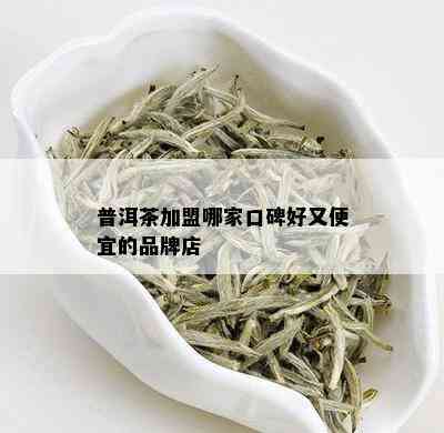 普洱茶加盟哪家口碑好又便宜的品牌店