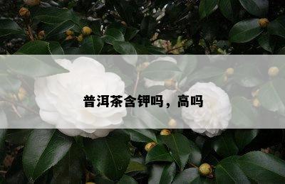 普洱茶含钾吗，高吗