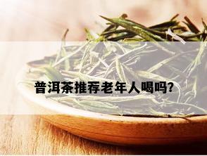 普洱茶推荐老年人喝吗？