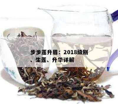 步步莲升眉：2018级别、生莲、升华详解