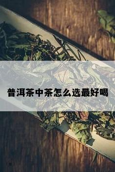 普洱茶中茶怎么选更好喝