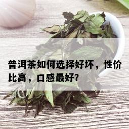 普洱茶如何选择好坏，性价比高，口感更好？