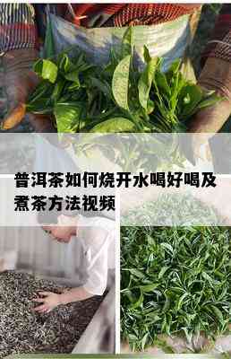 普洱茶如何烧开水喝好喝及煮茶方法视频