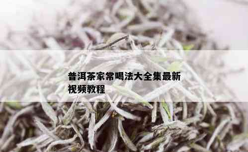 普洱茶家常喝法大全集最新视频教程