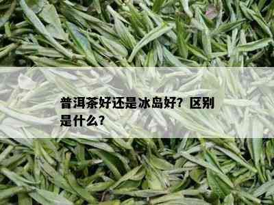 普洱茶好还是冰岛好？区别是什么？