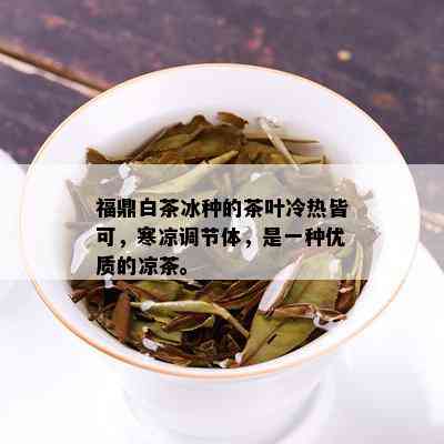 福鼎白茶冰种的茶叶冷热皆可，寒凉调节体，是一种优质的凉茶。