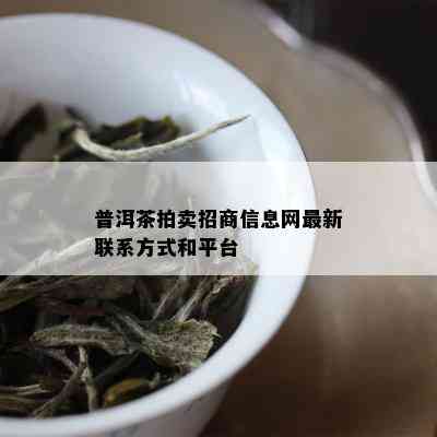 普洱茶拍卖招商信息网最新联系方式和平台