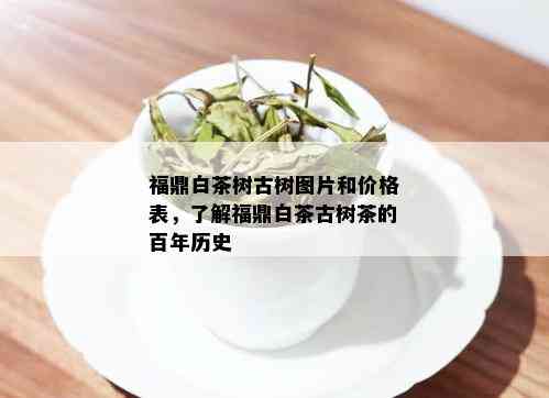 福鼎白茶树古树图片和价格表，了解福鼎白茶古树茶的百年历史