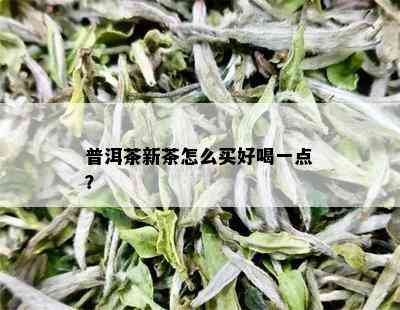 普洱茶新茶怎么买好喝一点？