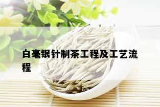 白毫银针制茶工程及工艺流程