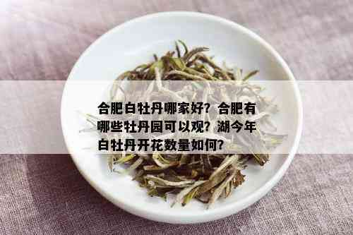 合肥白牡丹哪家好？合肥有哪些牡丹园可以观？湖今年白牡丹开花数量如何？