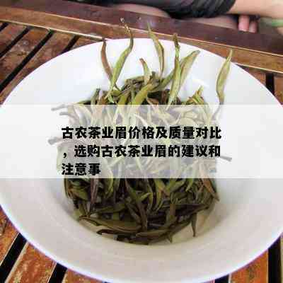 古农茶业眉价格及质量对比，选购古农茶业眉的建议和注意事