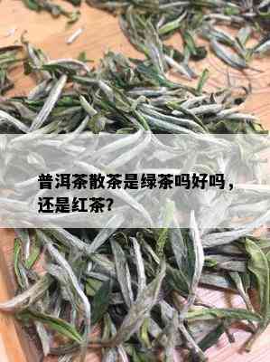 普洱茶散茶是绿茶吗好吗，还是红茶？