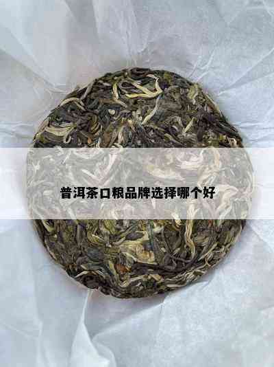 普洱茶口粮品牌选择哪个好