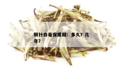 银针白毫保质期：多久？几年？