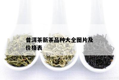 普洱茶新茶品种大全图片及价格表