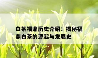 白茶福鼎历史介绍：揭秘福鼎白茶的源起与发展史