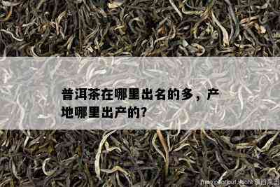 普洱茶在哪里出名的多，产地哪里出产的？